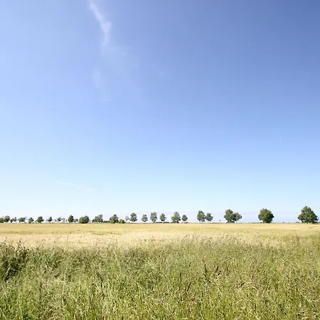 Bolte Nr 18 *